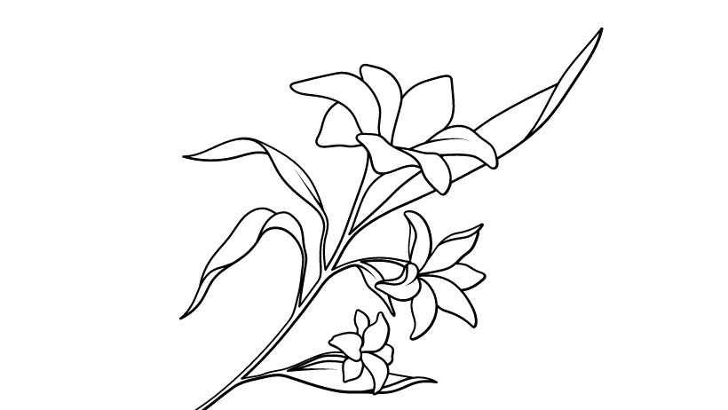 Vector de Flores 2